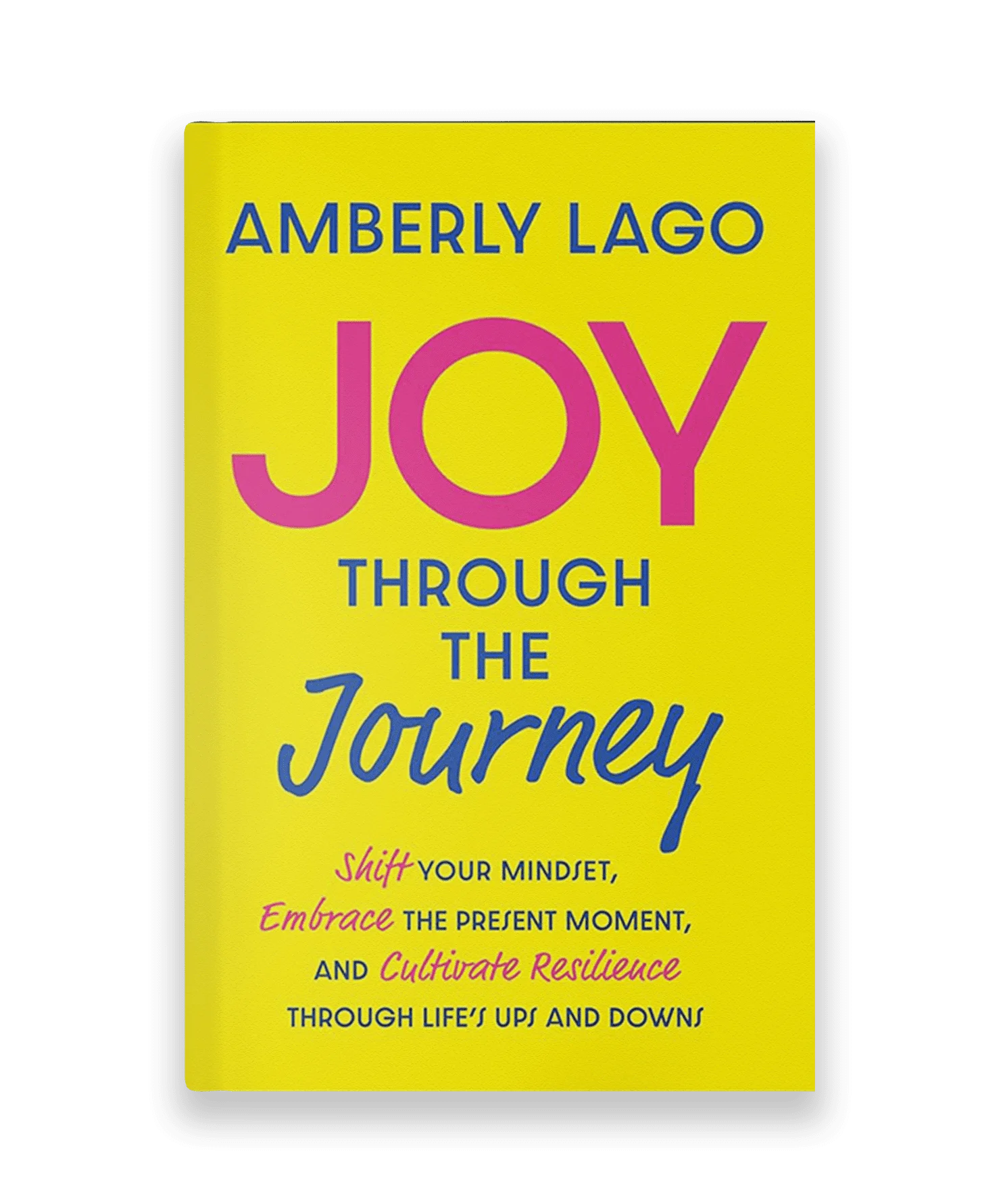 Joy Through The Journey