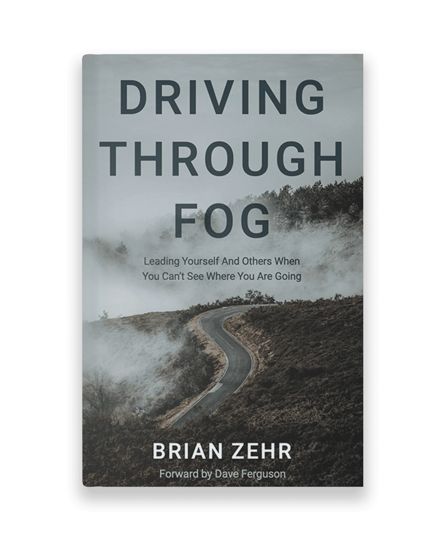 Driving Through Fog